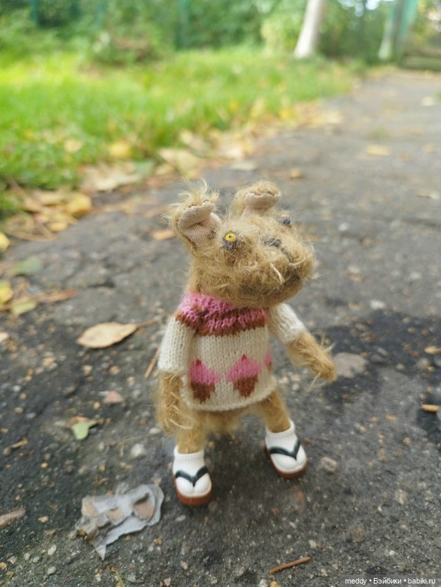 Наша маленькая Собачка Луша (фото 9)