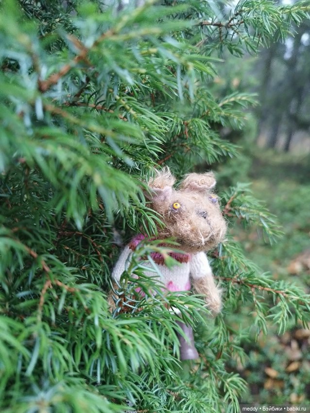 Наша маленькая Собачка Луша