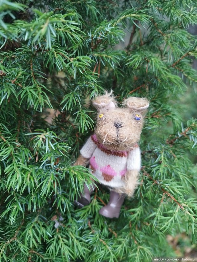 Наша маленькая Собачка Луша (фото 2)