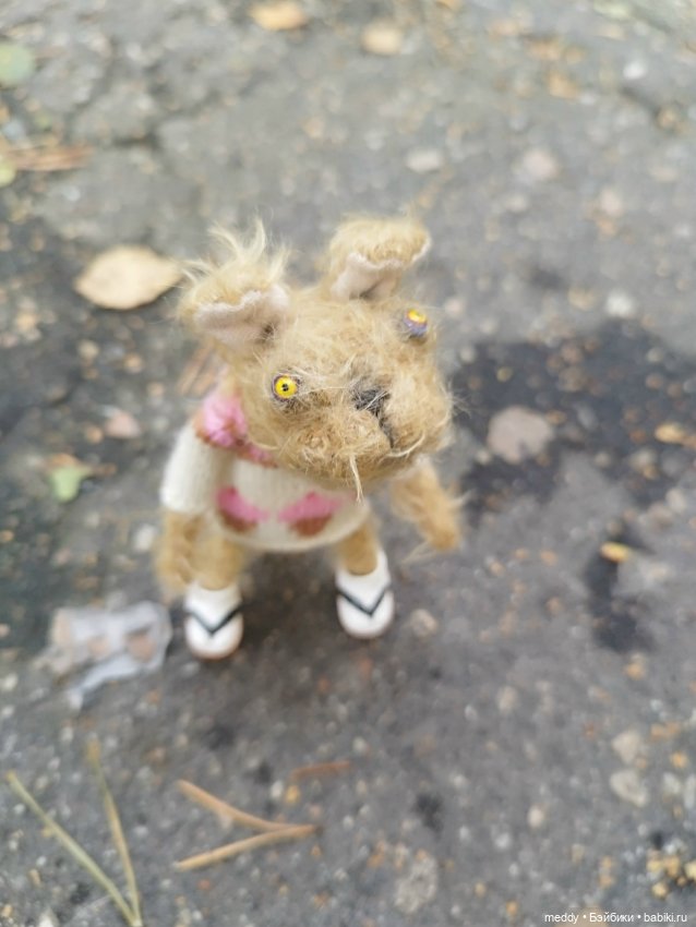 Наша маленькая Собачка Луша (фото 8)