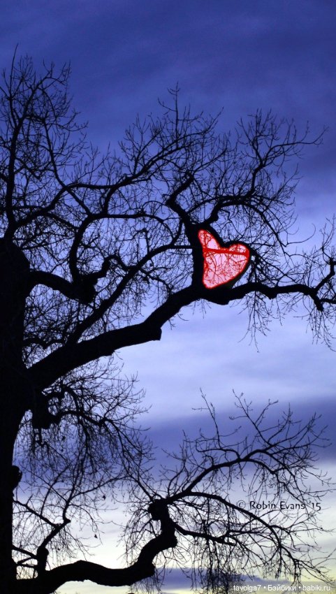 Сердечное - от холодного к тёплому (фото 5)