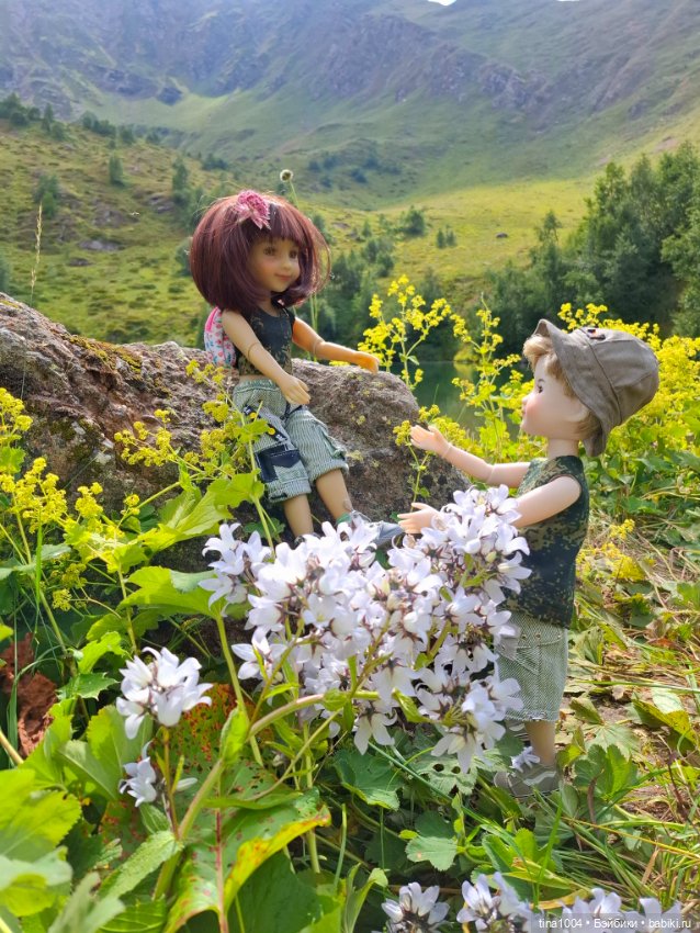 14 февраля — Коллекции игровых кукол (Playline): фото полок