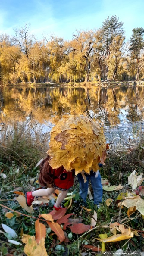 14 февраля — Коллекции игровых кукол (Playline): фото полок