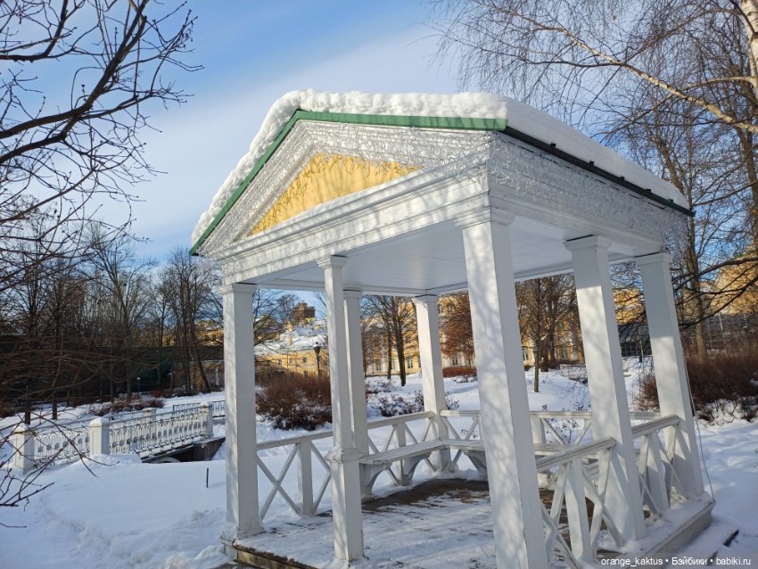 Зимняя прогулка в безлюдном саду (фото 6)