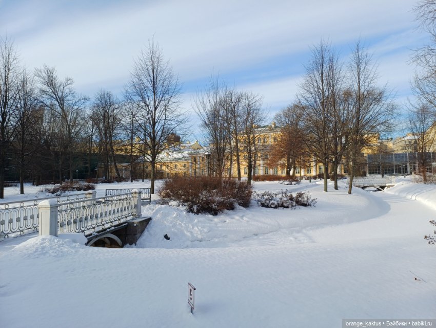 Зимняя прогулка в безлюдном саду (фото 7)