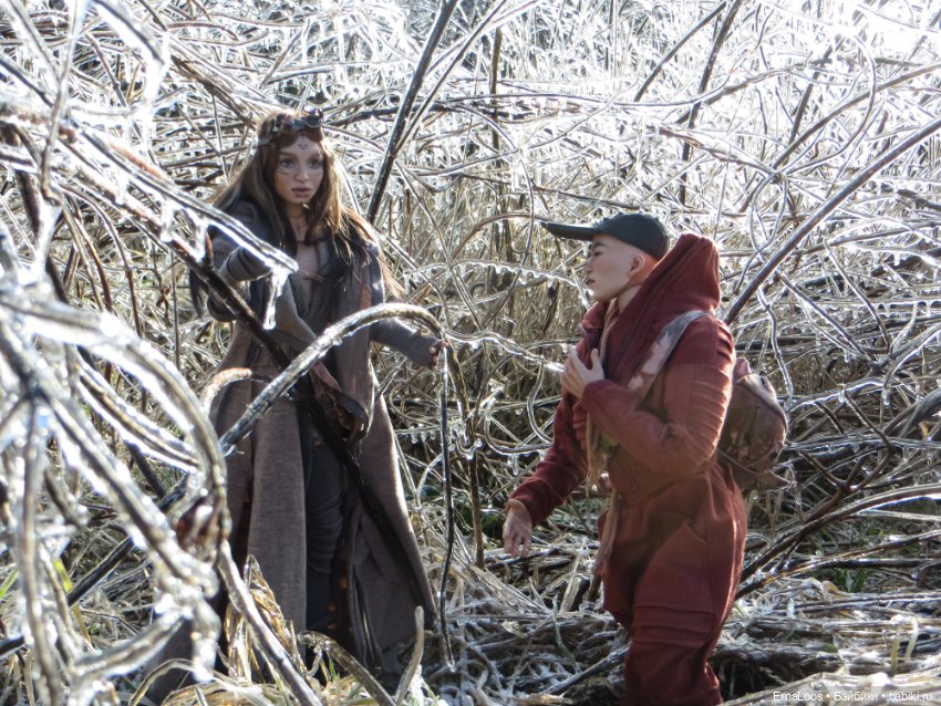 Ледяной апокалипсис — Куклы Dart dolls (Анна Шиткина): российские BJD (БЖД) (фото 10)