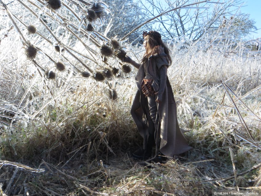 Ледяной апокалипсис — Куклы Dart dolls (Анна Шиткина): российские BJD (БЖД) (фото 3)