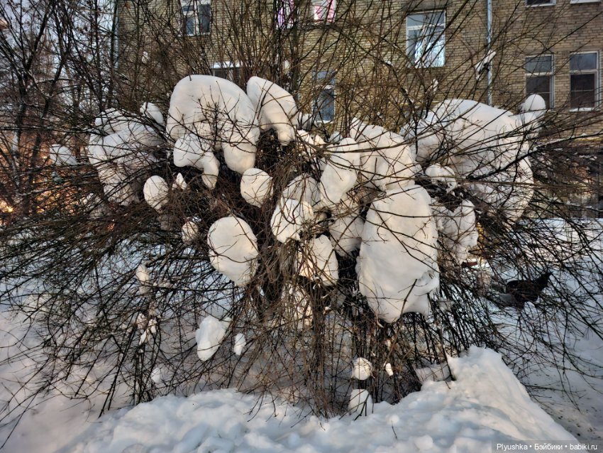 Мийки в зимнем парке — Куклы Nines d'Onil (Нинес): Миа (Mia)