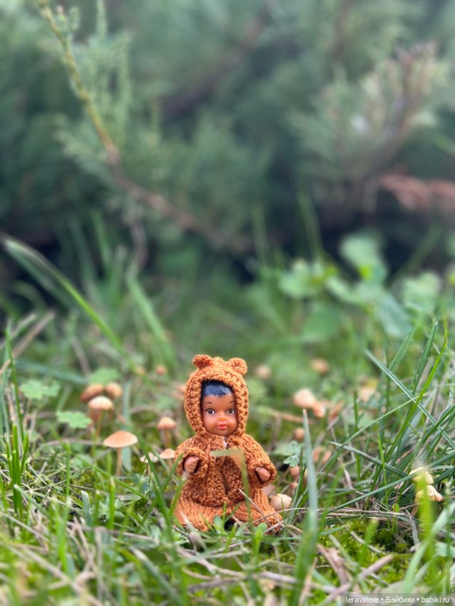 Краски осени часть 1 — Коллекции игровых кукол (Playline): фото полок (фото 4)