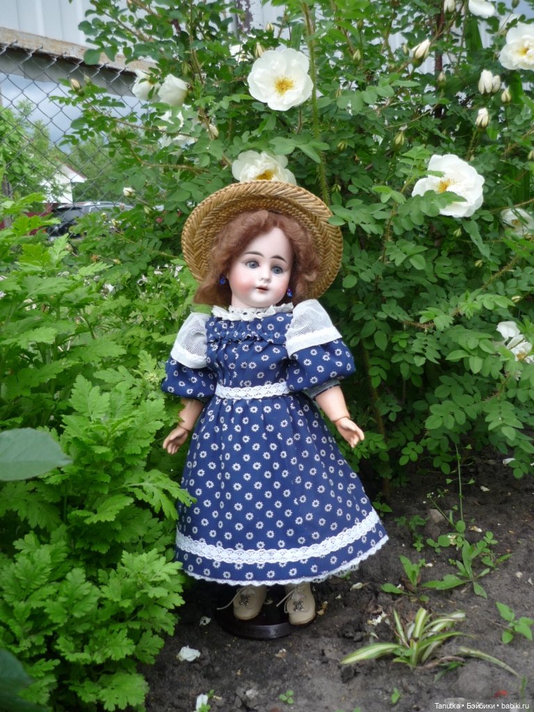 100 лет Дэвиду Остину. Розы и куклы (фото 3)