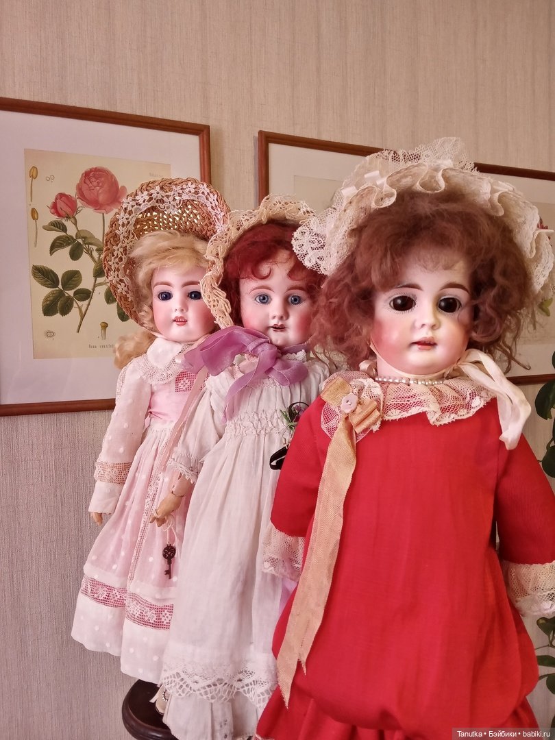 100 лет Дэвиду Остину. Розы и куклы