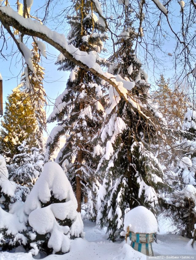 С годом лошади, друзья — Вышивка крестиком