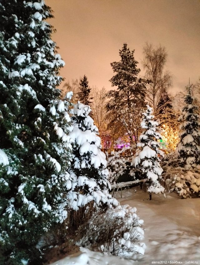 С годом лошади, друзья — Вышивка крестиком