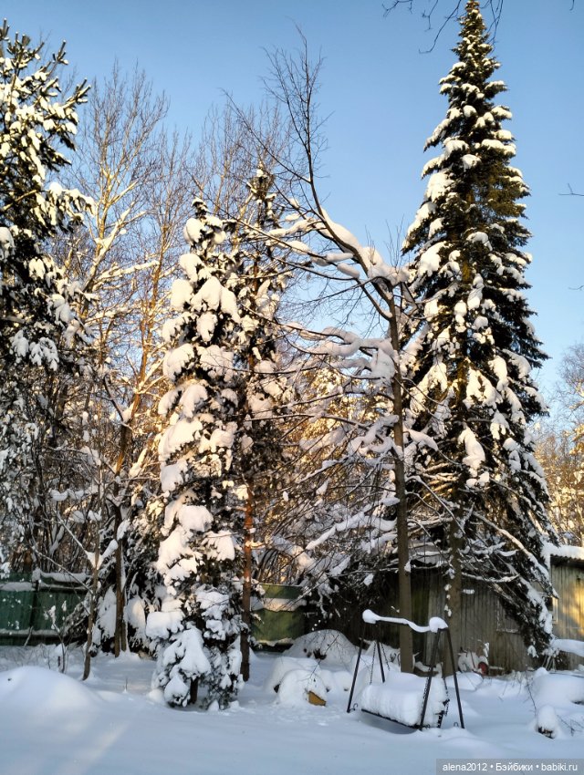 С годом лошади, друзья — Вышивка крестиком