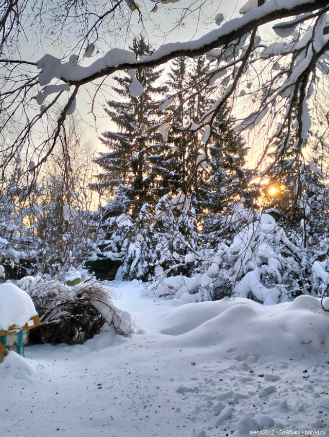 С годом лошади, друзья — Вышивка крестиком