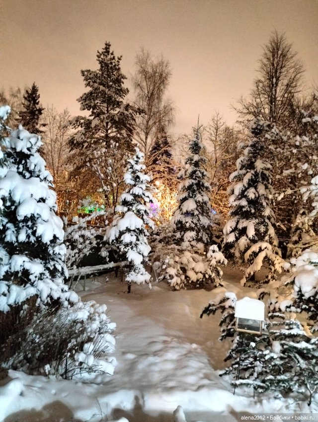 С годом лошади, друзья — Вышивка крестиком