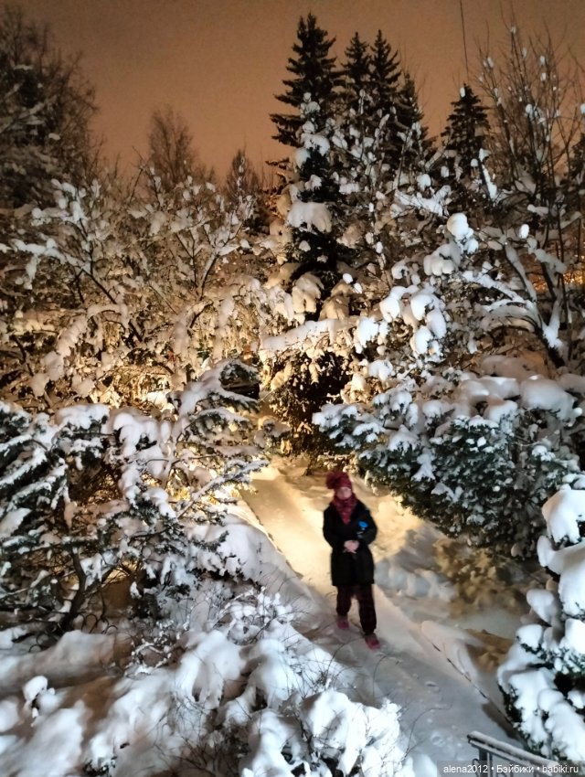 С годом лошади, друзья — Вышивка крестиком