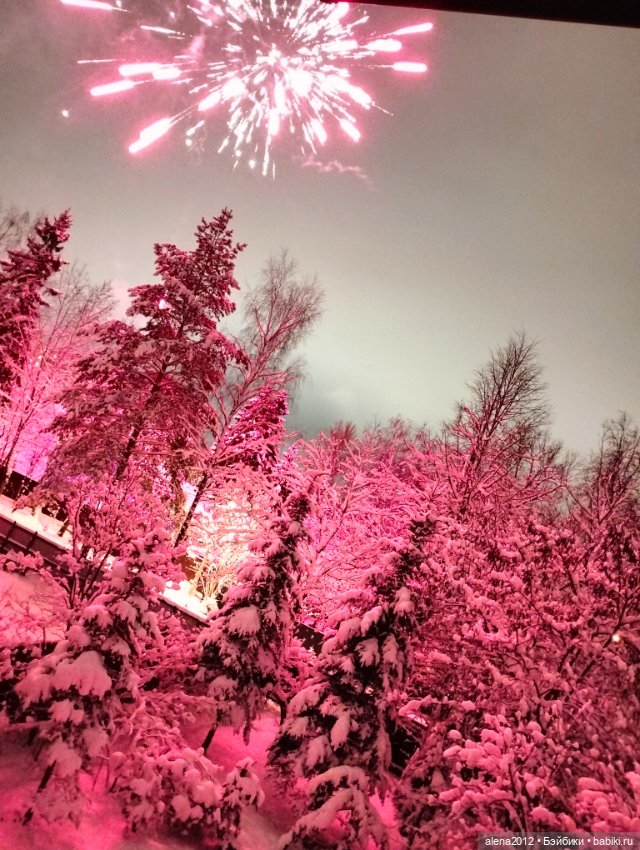 С годом лошади, друзья — Вышивка крестиком