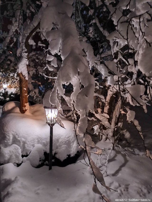 С годом лошади, друзья — Вышивка крестиком