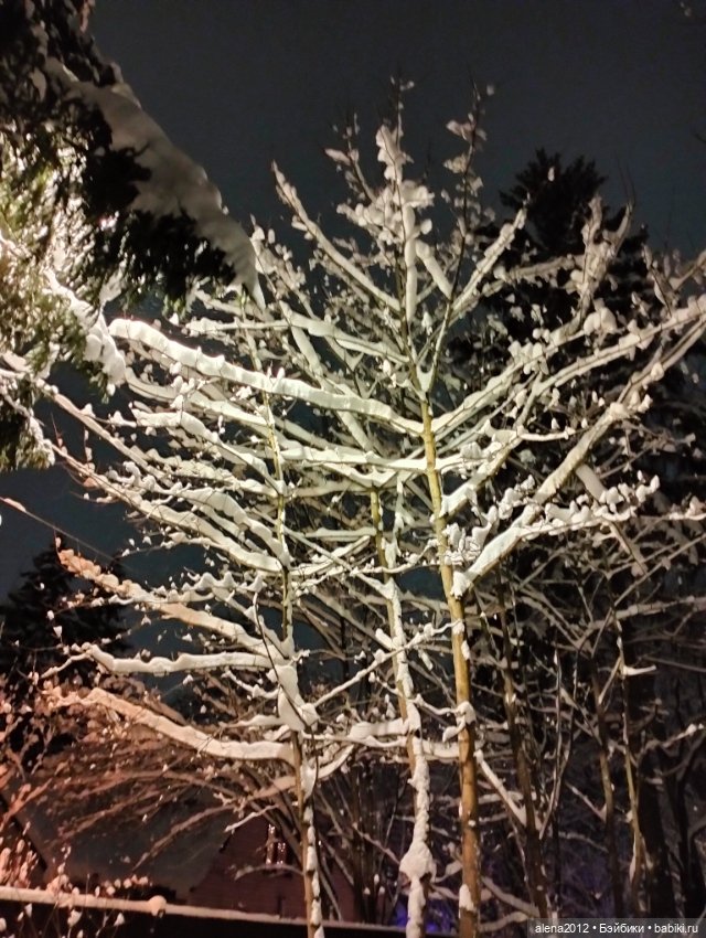 С годом лошади, друзья — Вышивка крестиком