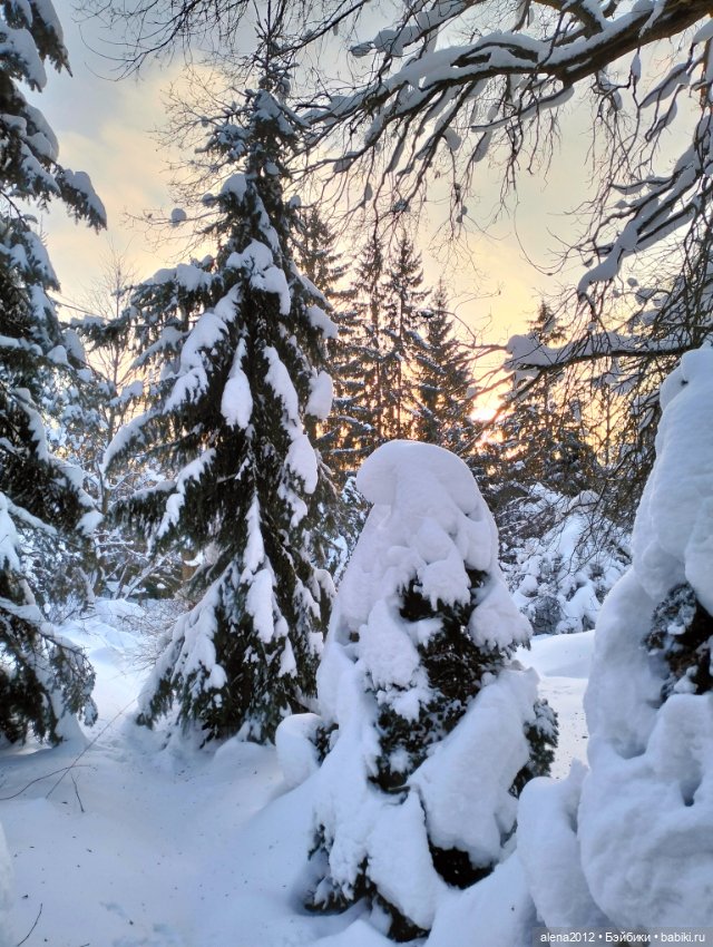 С годом лошади, друзья — Вышивка крестиком