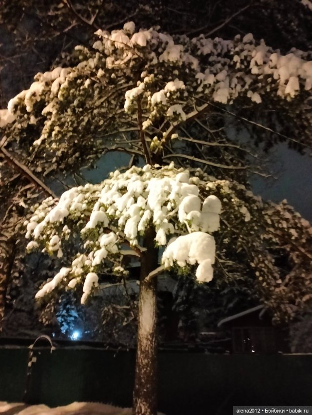 С годом лошади, друзья — Вышивка крестиком