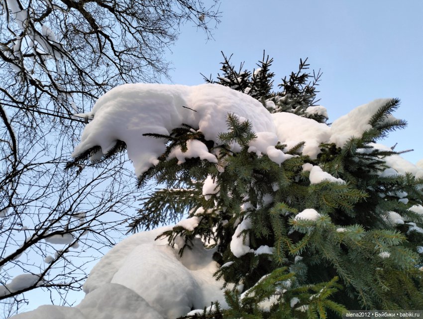 С годом лошади, друзья — Вышивка крестиком