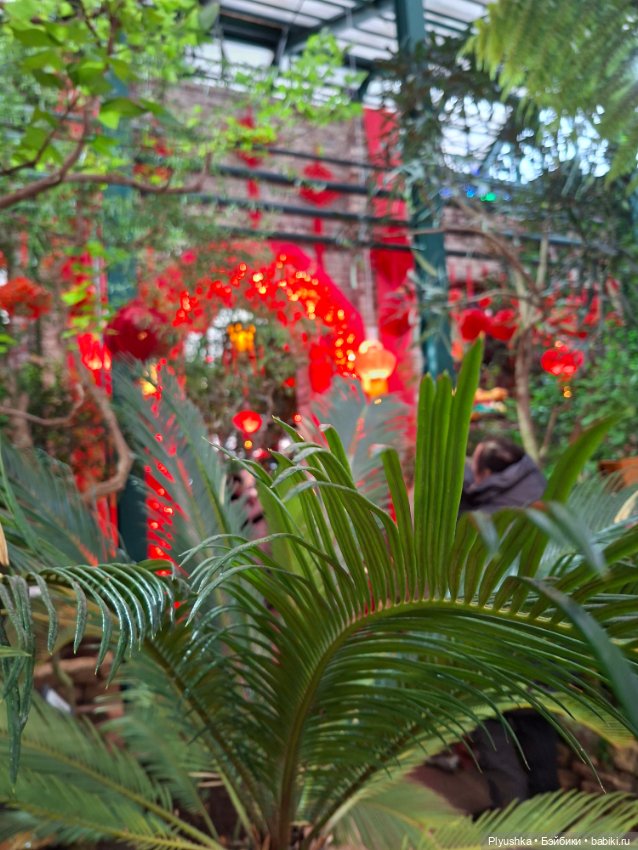 Китайский Новый год — Куклы и тела UFdoll (ЮФдолл): Blind Box (фото 6)