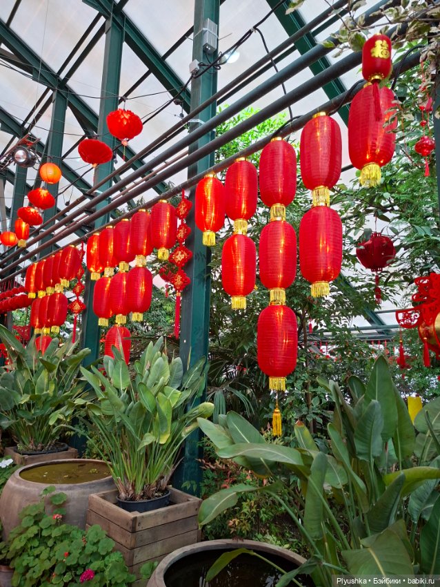 Китайский Новый год — Куклы и тела UFdoll (ЮФдолл): Blind Box (фото 4)