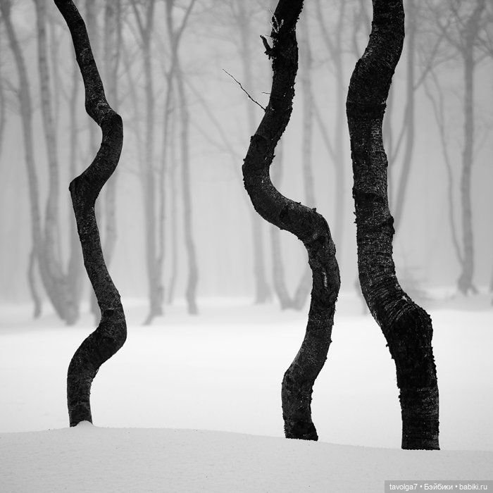 Зимняя графика ноябрь-март (фото 6)