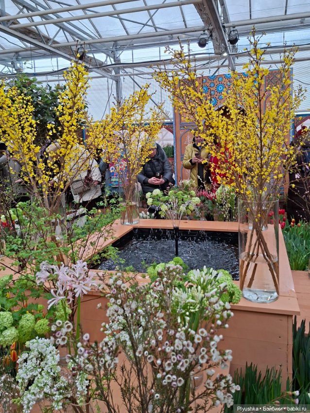 "Репетиция весны" ч.1, с Тутушоу (фото 6)