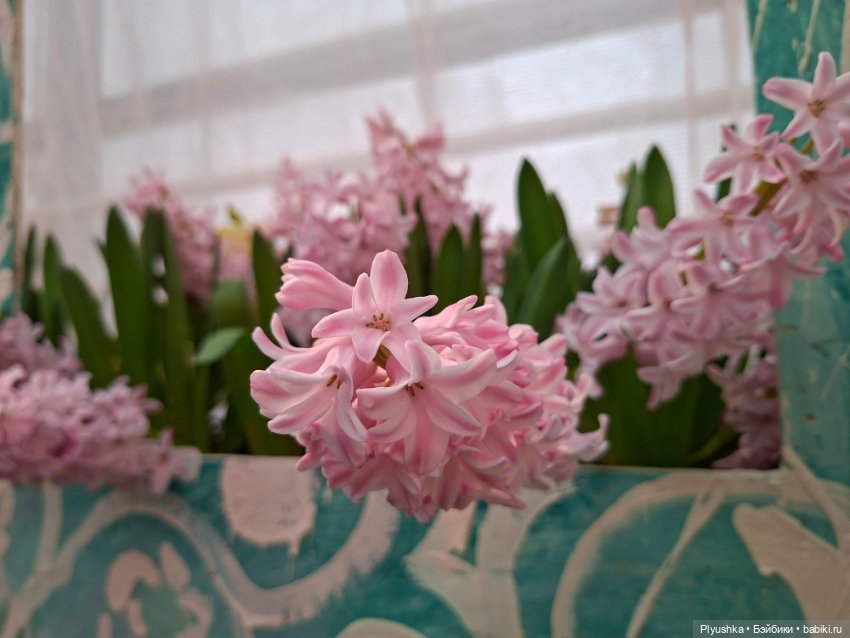 "Репетиция весны" ч.1, с Тутушоу