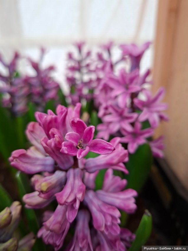 "Репетиция весны" ч.2, с Редберри (фото 6)