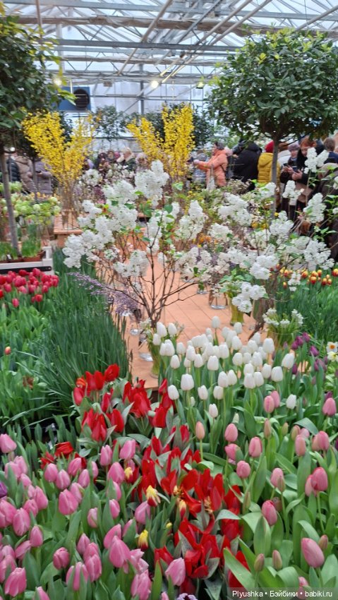 "Репетиция весны" ч.2, с Редберри (фото 2)