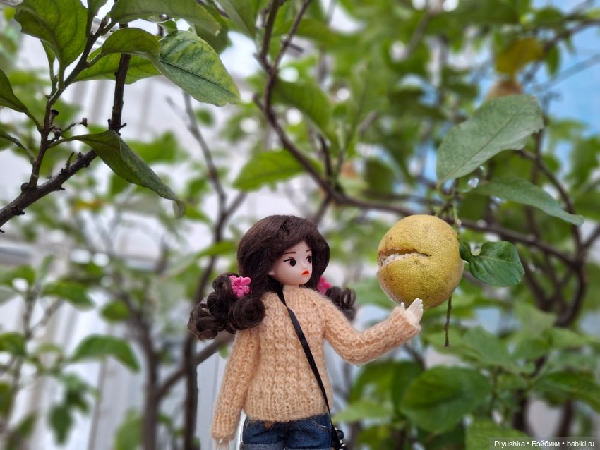 "Репетиция весны" ч.2, с Редберри