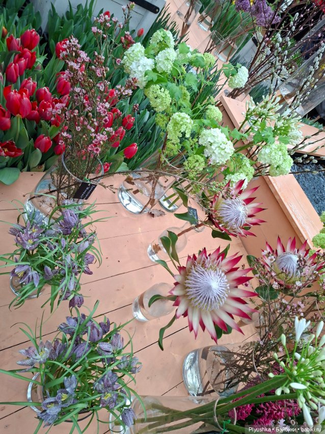 "Репетиция весны" ч.2, с Редберри (фото 9)