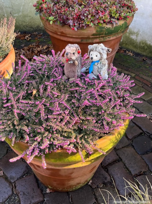 Музыкальная история 186 — Туризм и путешествия: фотоотчеты из поездок (фото 6)