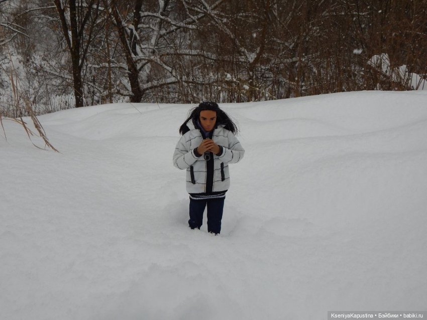 Зима в Арде — Куклы Barbie (Барби): Looks (фото 7)