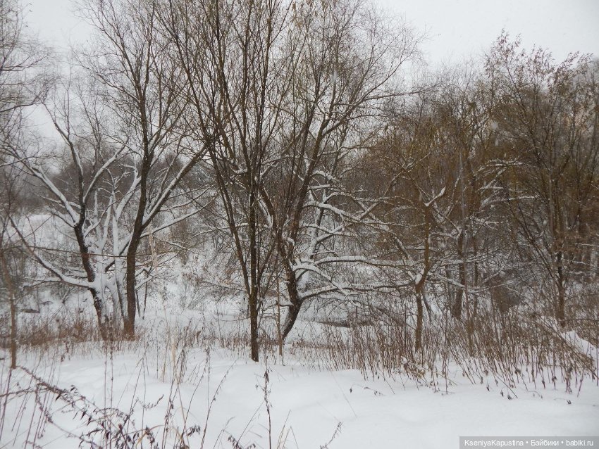 Зима в Арде — Куклы Barbie (Барби): Looks (фото 3)