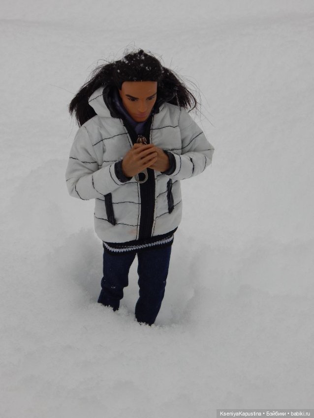 Зима в Арде — Куклы Barbie (Барби): Looks (фото 8)