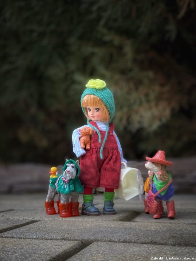 Люсьен и пёсики — Игровые куклы разных производителей (Разное): редкие бренды (фото 10)