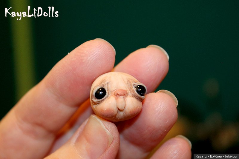 Катушка Даффния. Часть 2 — Куклы и тела Obitsu (Обитсу): 1/6 (фото 9)