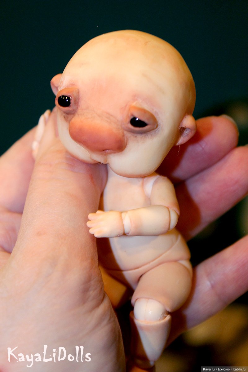 Катушка Даффния. Часть 2 — Куклы и тела Obitsu (Обитсу): 1/6 (фото 5)