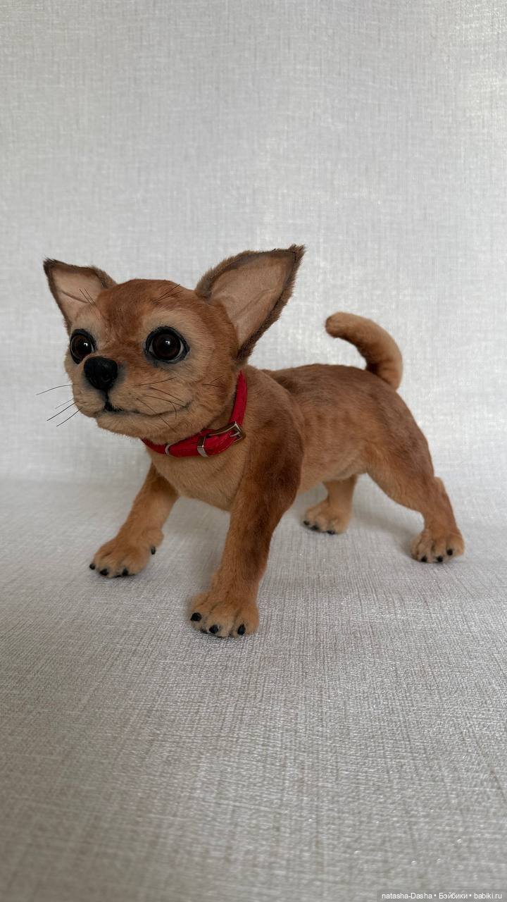 Чишка 🐕🐶🐾 — Реалистичные игрушки и звери (Натюр): собаки (фото 4)