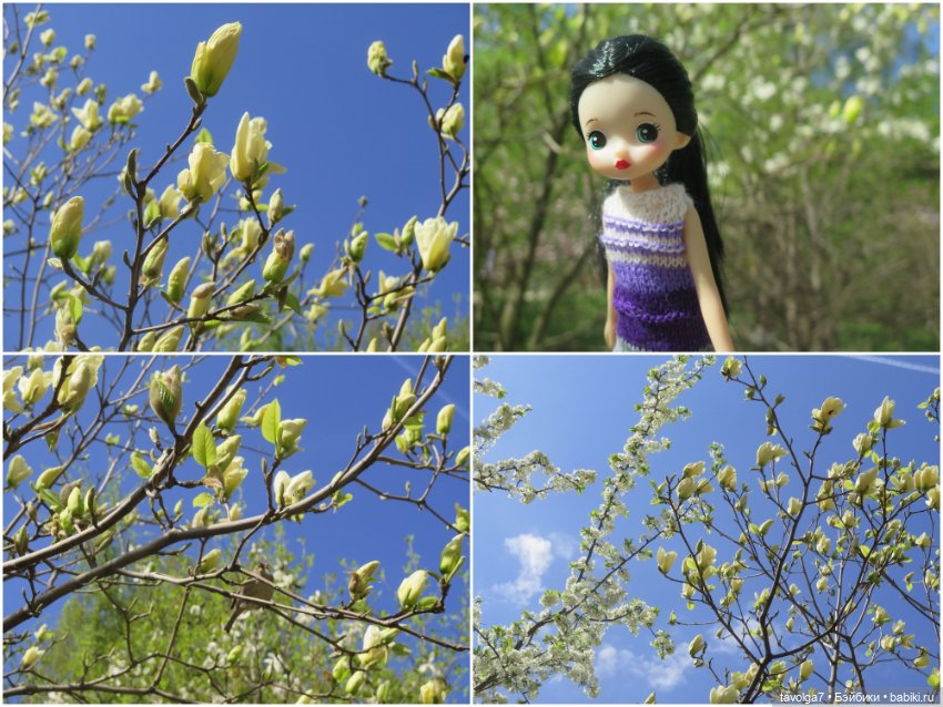 Popo @ Milk и весна 2025 — Азиатские виниловые куклы (разное): Китай