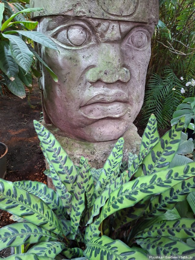 Аука в джунглях — Домашние фото авторских кукол: личные коллекции (фото 7)