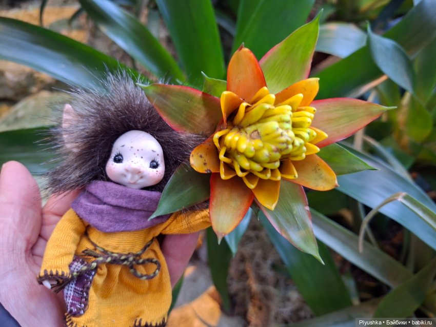 Аука в джунглях — Домашние фото авторских кукол: личные коллекции (фото 5)
