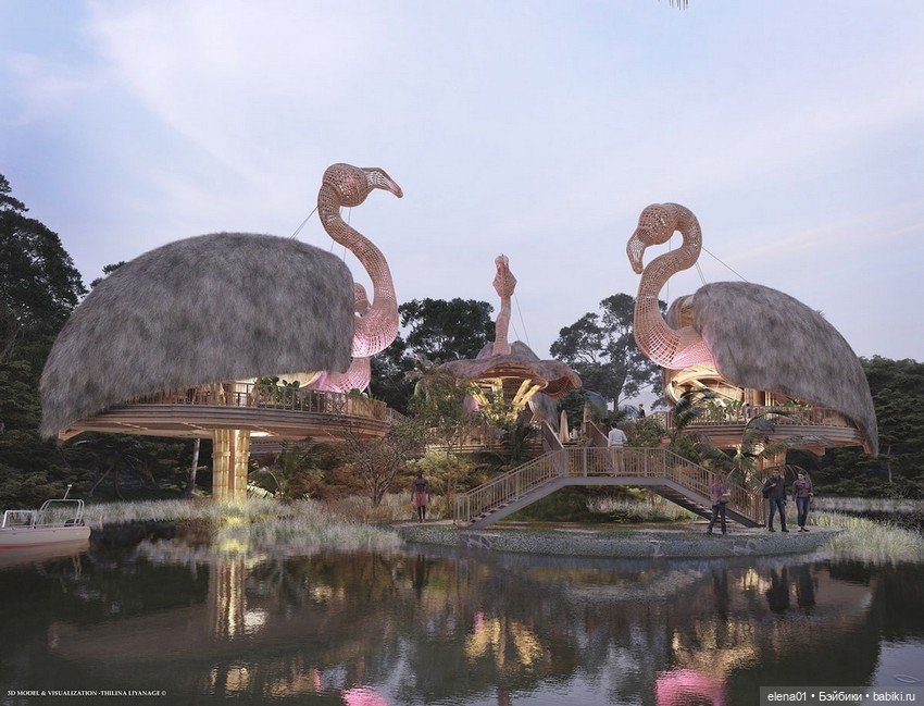 Смотровые площадки Thilina Liyanage (фото 3)