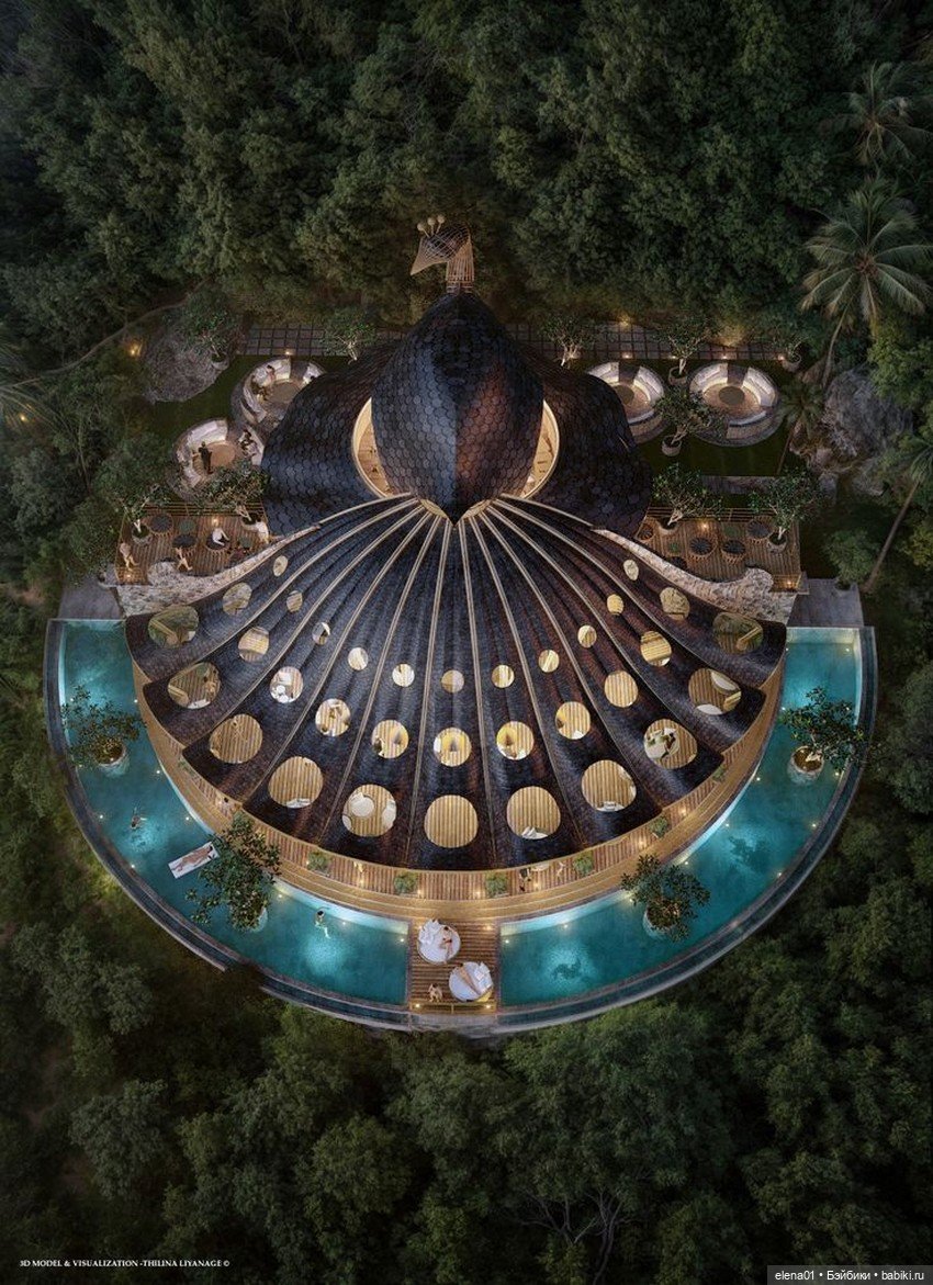 Смотровые площадки Thilina Liyanage (фото 7)