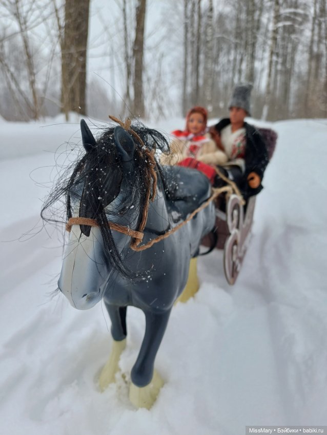 Масленица. Катание на санях (фото 5)